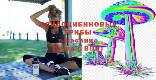 герыч Протвино